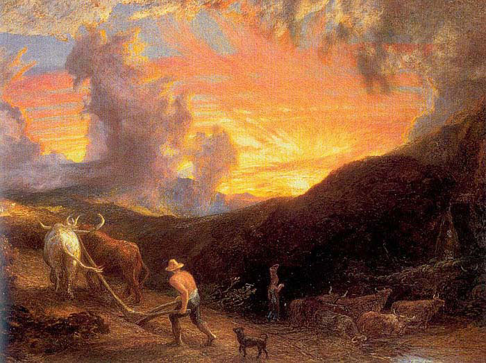 ploughing at sunset